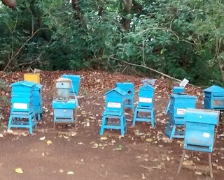 Bee Keeping Centre